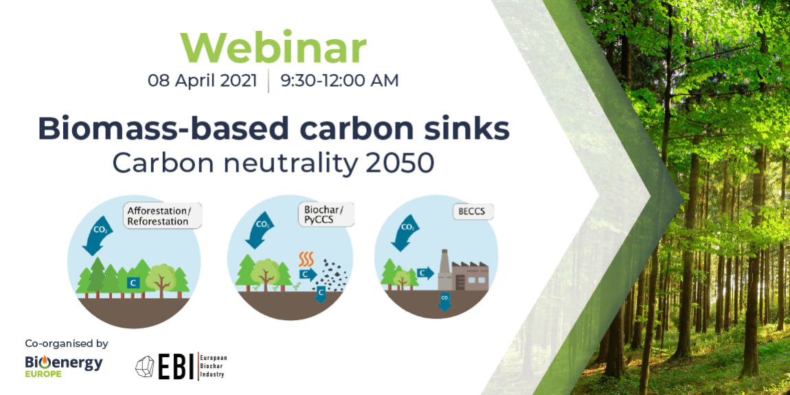 Banner_zoom-02-02-02-02-02-02-02-02-02