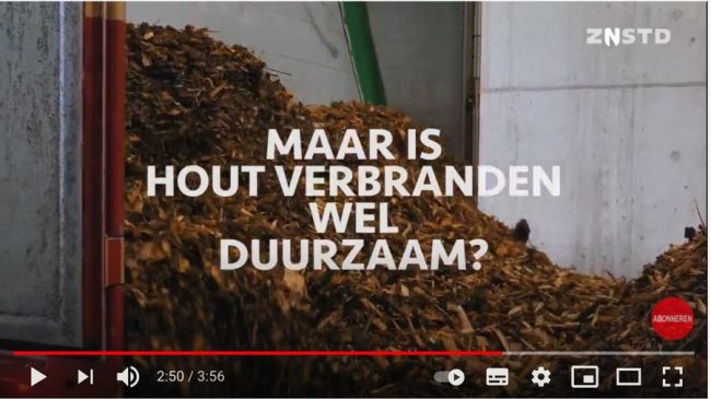 klein_film-zaanstad-bio-youtube