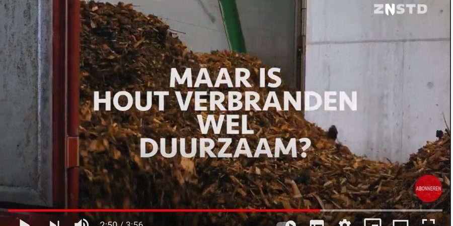 klein_film-zaanstad-bio-youtube